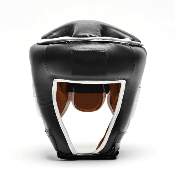 Full Face Sparring Headguard