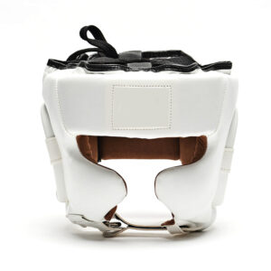 Full Face Sparring Headguard