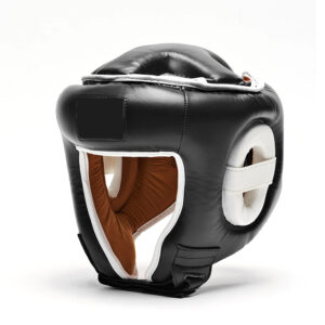 Full Face Sparring Headguard