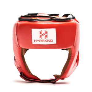Full Face Sparring Headguard